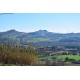 Properties for Sale_Farmhouses to restore_Casa Colonica e Antico Monastero in Le Marche_16